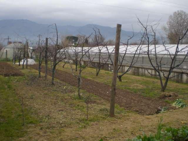 Porzione di casa in  Vendita  a Capannori   bilocale   110 mq  foto 2