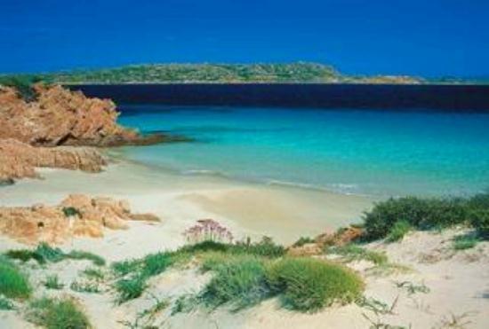 Appartamento in  Vendita  a La Maddalena    53 mq  foto 2