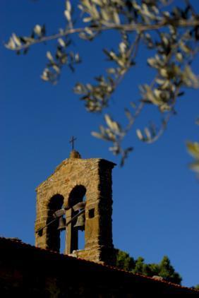 Agriturismo in  Vendita  a Cortona    1000 mq  foto 6