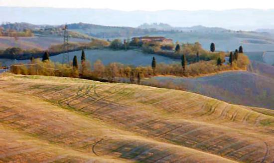 Agriturismo in  Vendita  a Asciano    350 mq  foto 9