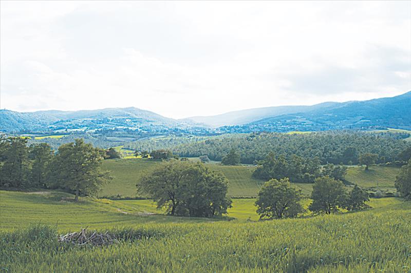 Casale  in  Affitto Vacanze a Città della Pieve   6 vani  130 mq  foto 3