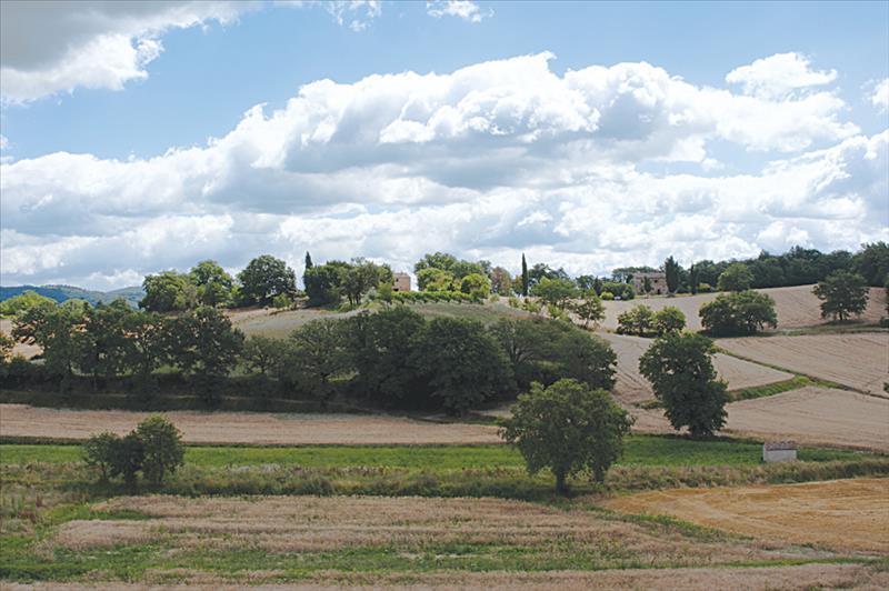 Casale  in  Affitto Vacanze a Città della Pieve   6 vani  130 mq  foto 4