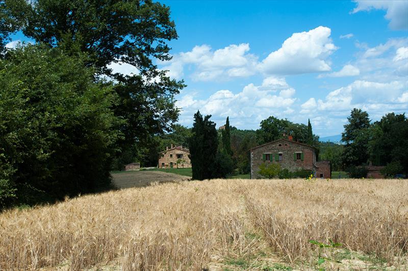 Casale  in  Affitto Vacanze a Città della Pieve   6 vani  130 mq  foto 6