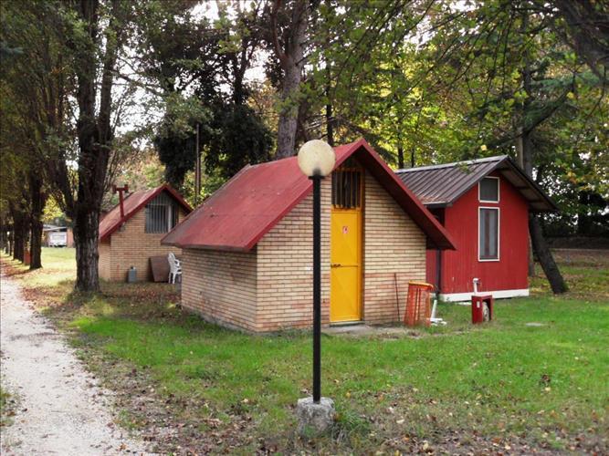  in  Vendita  a Passignano sul Trasimeno    25000 mq  foto 6