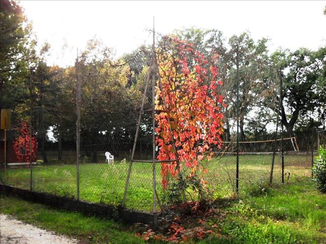  in  Vendita  a Passignano sul Trasimeno    25000 mq  foto 7