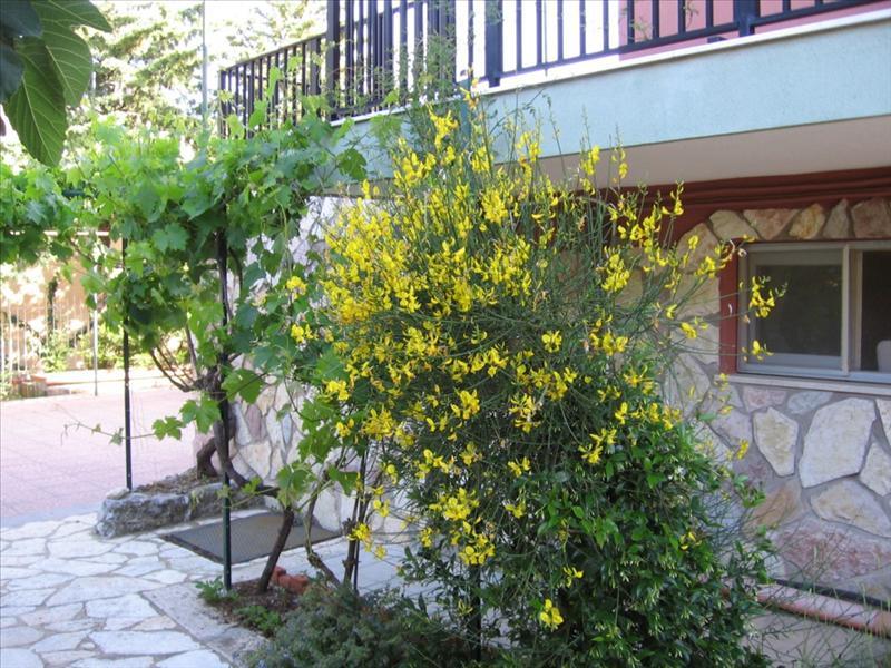 Villa in  Vendita  a Palermo     foto 3
