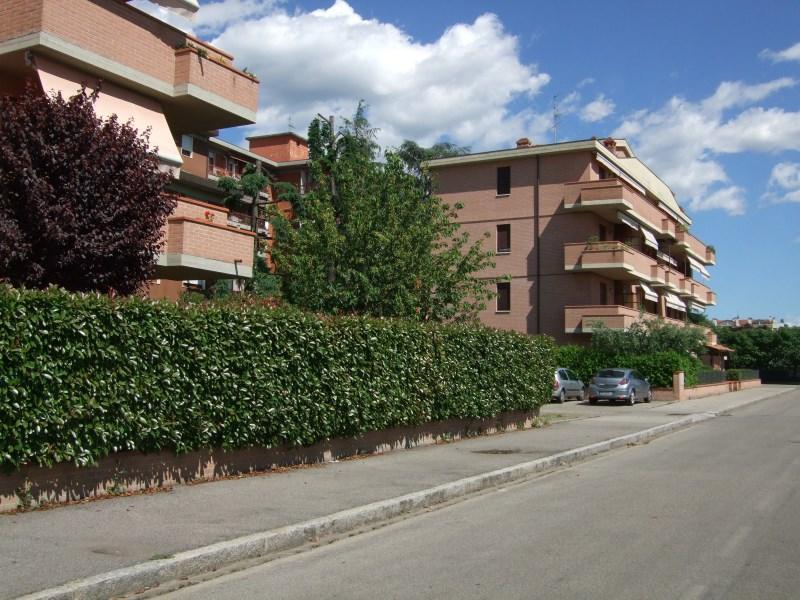 Appartamento in  Affitto  a Prato   bilocale   55 mq  foto 2