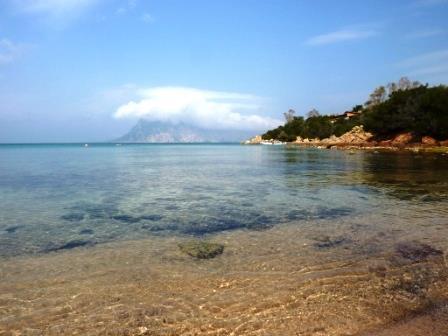 Villa in  Vendita  a San Teodoro   5 vani  100 mq  foto 6