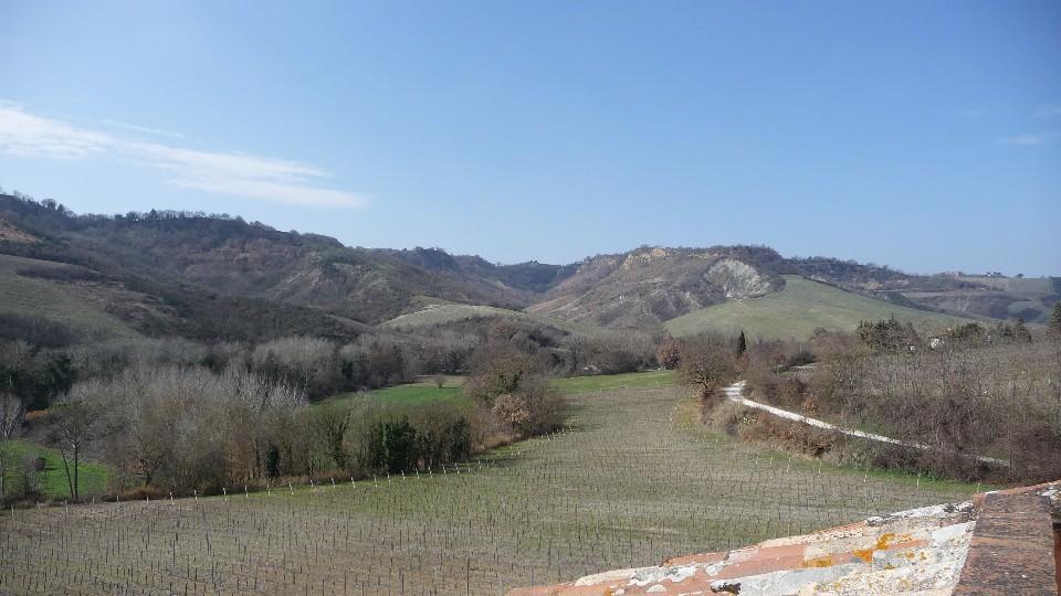 Azienda agricola in  Vendita  a Castiglione in Teverina   11 vani  460 mq  foto 5
