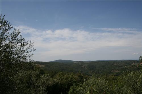 Azienda agricola in  Vendita  a Sinalunga    15 mq  foto 10