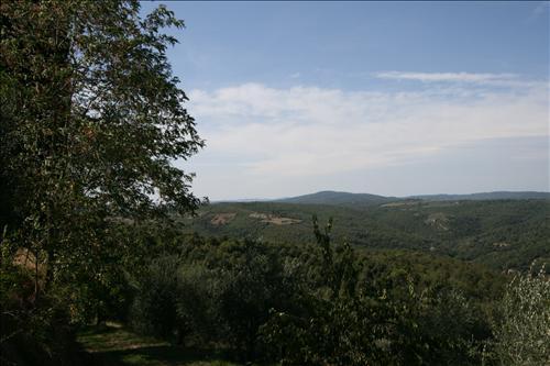 Azienda agricola in  Vendita  a Sinalunga    15 mq  foto 2