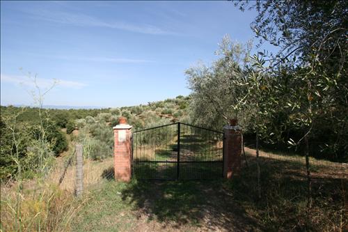 Azienda agricola in  Vendita  a Sinalunga    15 mq  foto 4