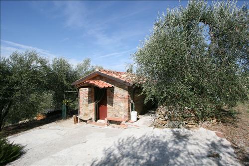 Azienda agricola in  Vendita  a Sinalunga    15 mq  foto 6