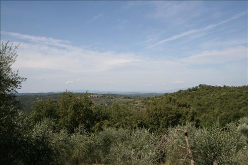 Azienda agricola in  Vendita  a Sinalunga    15 mq  foto 8