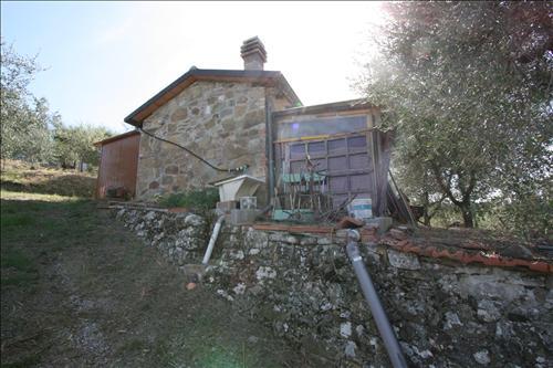 Azienda agricola in  Vendita  a Sinalunga    15 mq  foto 9