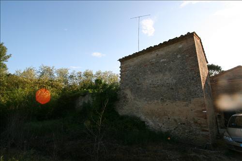 Casale  in  Vendita  a San Giovanni d'Asso    5 mq  foto 4