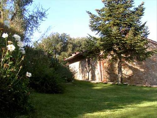 Agriturismo in  Affitto Vacanze a Sinalunga    185 mq  foto 4