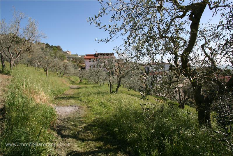Terreno edificabile in  Vendita  a Rapolano Terme    3300 mq  foto 2